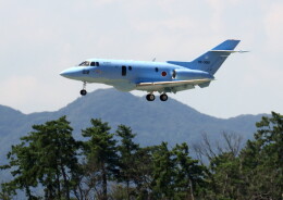 ビッグジョンソンさんが、芦屋基地で撮影した航空自衛隊 U-125A(Hawker 800)の航空フォト（飛行機 写真・画像）