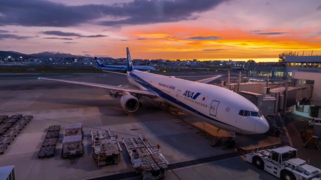 2025年08月25日に撮影されたANA (全日空)の航空機写真