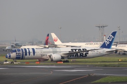 Tobibitoさんが、羽田空港で撮影した全日空 787-9の航空フォト（飛行機 写真・画像）