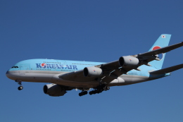 大韓航空 イメージ