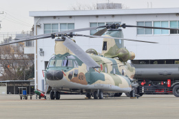 norimotoさんが、入間飛行場で撮影した航空自衛隊 CH-47J/LRの航空フォト（飛行機 写真・画像）