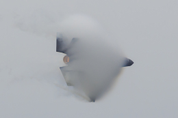 norimotoさんが、三沢飛行場で撮影した航空自衛隊 F-35A Lightning IIの航空フォト（飛行機 写真・画像）