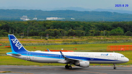 SNAKEさんが、新千歳空港で撮影した全日空 A321-211の航空フォト（飛行機 写真・画像）