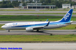 Chofu Spotter Ariaさんが、伊丹空港で撮影した全日空 737-881の航空フォト（飛行機 写真・画像）