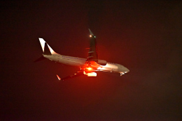 A_chanさんが、羽田空港で撮影した日本航空 737-846の航空フォト（飛行機 写真・画像）