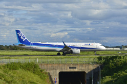 Gambardierさんが、岡山空港で撮影した全日空 A321-272Nの航空フォト（飛行機 写真・画像）