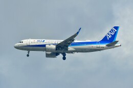 デデゴンさんが、石見空港で撮影した全日空 A320-271Nの航空フォト（飛行機 写真・画像）