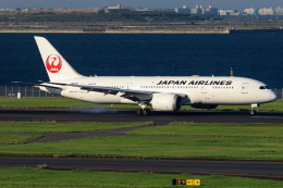 koei5000さんが、羽田空港で撮影した日本航空 787-8 Dreamlinerの航空フォト（飛行機 写真・画像）