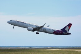 航空フォト：N217HA ハワイアン航空 A321neo