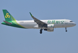 saoya_saodakeさんが、成田国際空港で撮影した春秋航空 A320-214の航空フォト（飛行機 写真・画像）