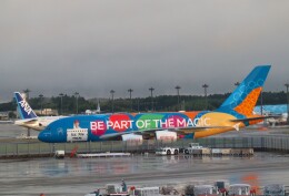 BAPOさんが、成田国際空港で撮影したエミレーツ航空 A380-861の航空フォト（飛行機 写真・画像）