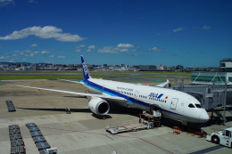 piratさんが、福岡空港で撮影した全日空 787-9の航空フォト（飛行機 写真・画像）