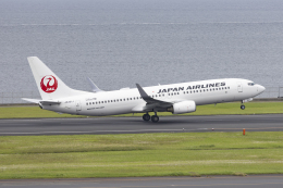 SHARP FUKUDAさんが、羽田空港で撮影した日本航空 737-846の航空フォト（飛行機 写真・画像）