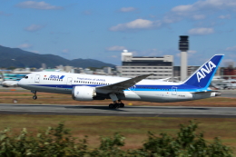 kaz787さんが、伊丹空港で撮影した全日空 787-8 Dreamlinerの航空フォト（飛行機 写真・画像）