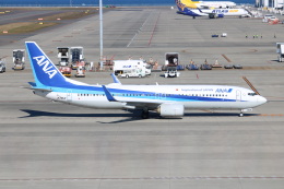 ⚡️Wingzさんが、中部国際空港で撮影した全日空 737-881の航空フォト（飛行機 写真・画像）