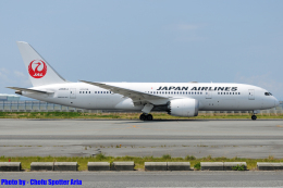 Chofu Spotter Ariaさんが、関西国際空港で撮影した日本航空 787-8 Dreamlinerの航空フォト（飛行機 写真・画像）