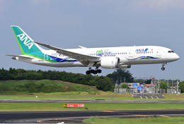 saoya_saodakeさんが、成田国際空港で撮影した全日空 787-8 Dreamlinerの航空フォト（飛行機 写真・画像）