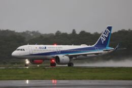 LEVEL789さんが、岡山空港で撮影した全日空 A320-271Nの航空フォト（飛行機 写真・画像）