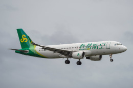 Nanoeさんが、関西国際空港で撮影した春秋航空 A320-214の航空フォト（飛行機 写真・画像）