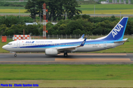 Chofu Spotter Ariaさんが、仙台空港で撮影した全日空 737-881の航空フォト（飛行機 写真・画像）