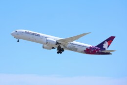 不揃いさんが、ダニエル・K・イノウエ国際空港で撮影したハワイアン航空 787-9の航空フォト（飛行機 写真・画像）
