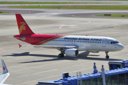 yabyanさんが、中部国際空港で撮影した深圳航空 A320-214の航空フォト（飛行機 写真・画像）