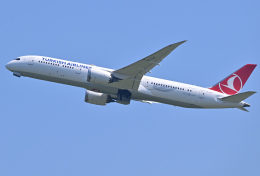 saoya_saodakeさんが、成田国際空港で撮影したターキッシュ・エアラインズ 787-9の航空フォト（飛行機 写真・画像）