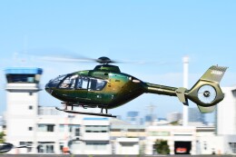 BlueStarさんが、東京ヘリポートで撮影した静岡エアコミュータ EC135P1の航空フォト（飛行機 写真・画像）