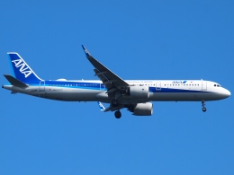 FT51ANさんが、羽田空港で撮影した全日空 A321-272Nの航空フォト（飛行機 写真・画像）