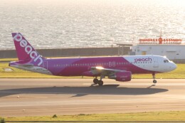 アオハルさんが、中部国際空港で撮影したピーチ A320-214の航空フォト（飛行機 写真・画像）