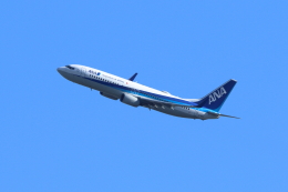 kaz787さんが、伊丹空港で撮影した全日空 737-881の航空フォト（飛行機 写真・画像）
