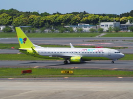 鷹７１さんが、成田国際空港で撮影したジンエアー 737-8Q8の航空フォト（飛行機 写真・画像）