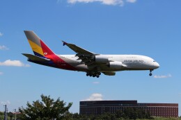 ハピネスさんが、成田国際空港で撮影したアシアナ航空 A380-841の航空フォト（飛行機 写真・画像）