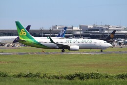 ハピネスさんが、成田国際空港で撮影したスプリング・ジャパン 737-8ALの航空フォト（飛行機 写真・画像）