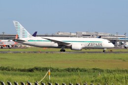 ハピネスさんが、成田国際空港で撮影したジップエア 787-8 Dreamlinerの航空フォト（飛行機 写真・画像）