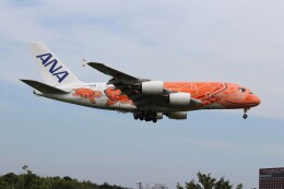 ハピネスさんが、成田国際空港で撮影した全日空 A380-841の航空フォト（飛行機 写真・画像）