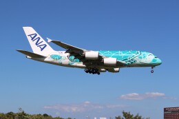 ハピネスさんが、成田国際空港で撮影した全日空 A380-841の航空フォト（飛行機 写真・画像）