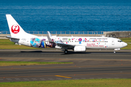 きんめいさんが、中部国際空港で撮影した日本航空 737-846の航空フォト（飛行機 写真・画像）