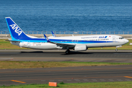 きんめいさんが、中部国際空港で撮影した全日空 737-881の航空フォト（飛行機 写真・画像）