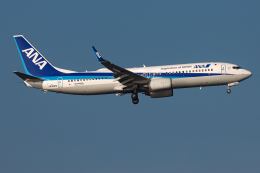 A.Tさんが、羽田空港で撮影した全日空 737-881の航空フォト（飛行機 写真・画像）