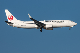 A.Tさんが、羽田空港で撮影した日本航空 737-846の航空フォト（飛行機 写真・画像）