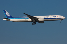 A.Tさんが、羽田空港で撮影した全日空 777-381/ERの航空フォト（飛行機 写真・画像）