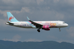 kopさんが、福岡空港で撮影した長竜航空 A320-214の航空フォト（飛行機 写真・画像）