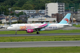 kopさんが、福岡空港で撮影した長竜航空 A320-214の航空フォト（飛行機 写真・画像）