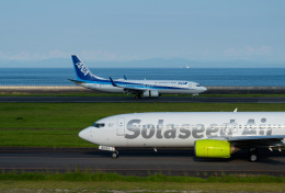avx4411さんが、大分空港で撮影した全日空 737-881の航空フォト（飛行機 写真・画像）