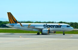 amagoさんが、函館空港で撮影したタイガーエア台湾 A320-271Nの航空フォト（飛行機 写真・画像）