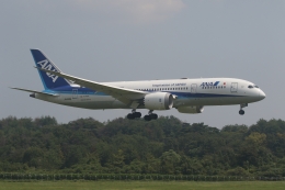 endress voyageさんが、岡山空港で撮影した全日空 787-8 Dreamlinerの航空フォト（飛行機 写真・画像）