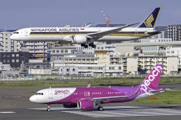 てくろくさんが、福岡空港で撮影したシンガポール航空 787-10の航空フォト（飛行機 写真・画像）