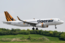 panchiさんが、成田国際空港で撮影したタイガーエア台湾 A320-232の航空フォト（飛行機 写真・画像）