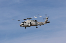Tomochanさんが、函館空港で撮影した海上自衛隊 SH-60Kの航空フォト（飛行機 写真・画像）